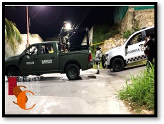 Operativo antidrogas en Campeche; aseguran predio sin detenidos. 